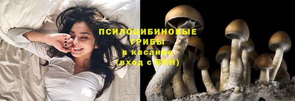 метадон Алексеевка