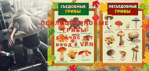 гидра Арсеньев