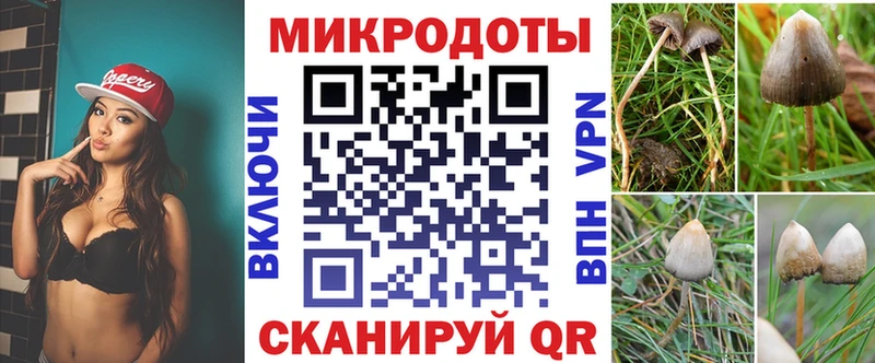 наркота  Новая Ляля  Псилоцибиновые грибы Magic Shrooms 